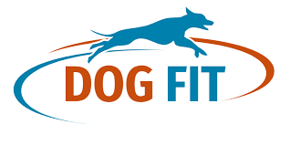 Dog Fit Coupons